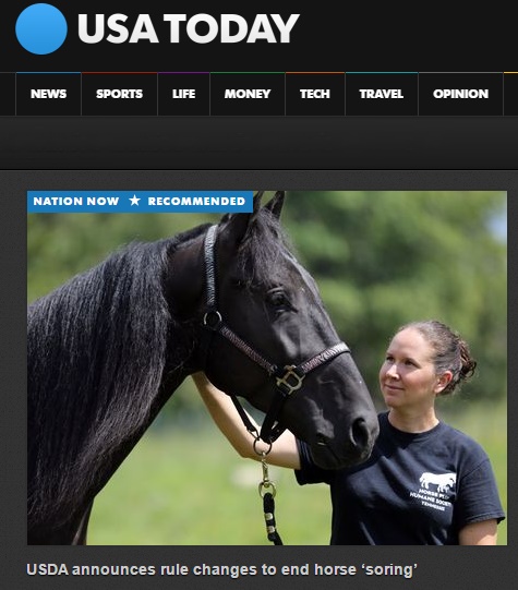 horse rescue