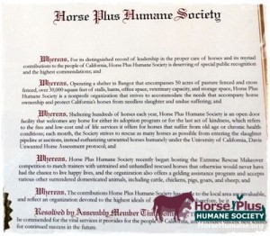 horse shelter