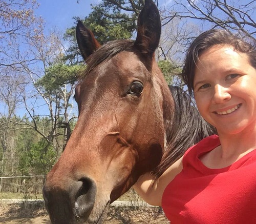 horse adoption