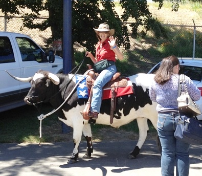 horse expo