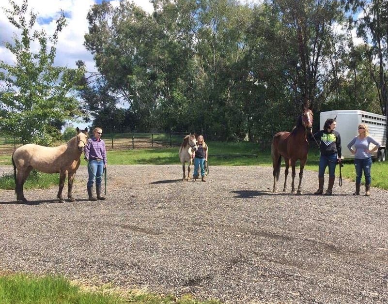horse shelter