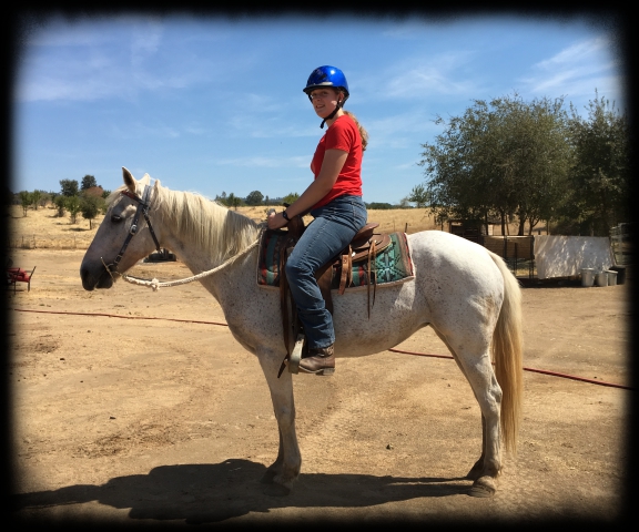 horse shelter