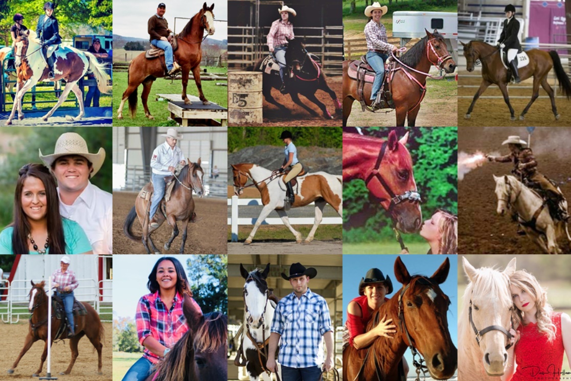 horse trainers
