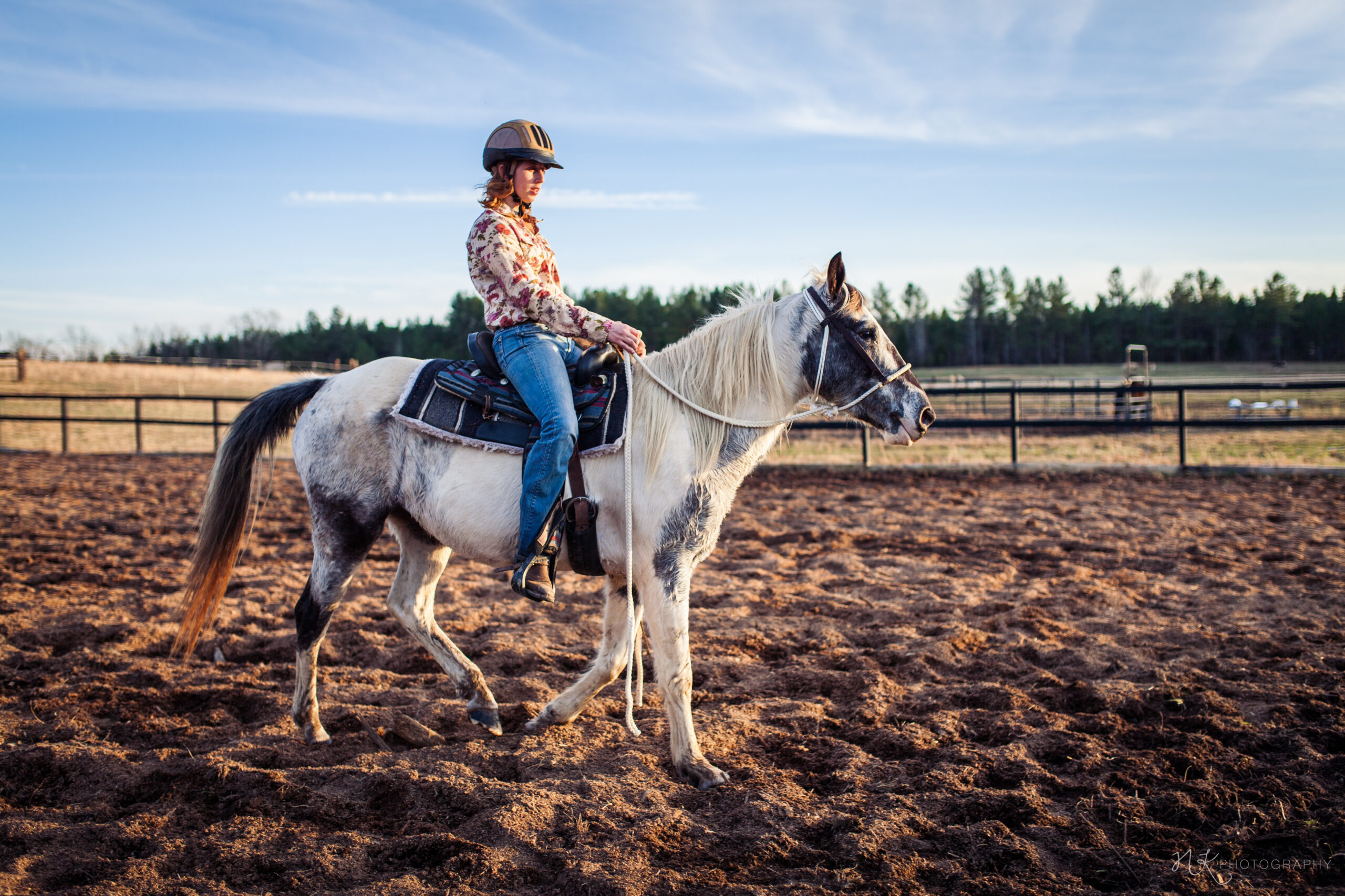 horse adoption