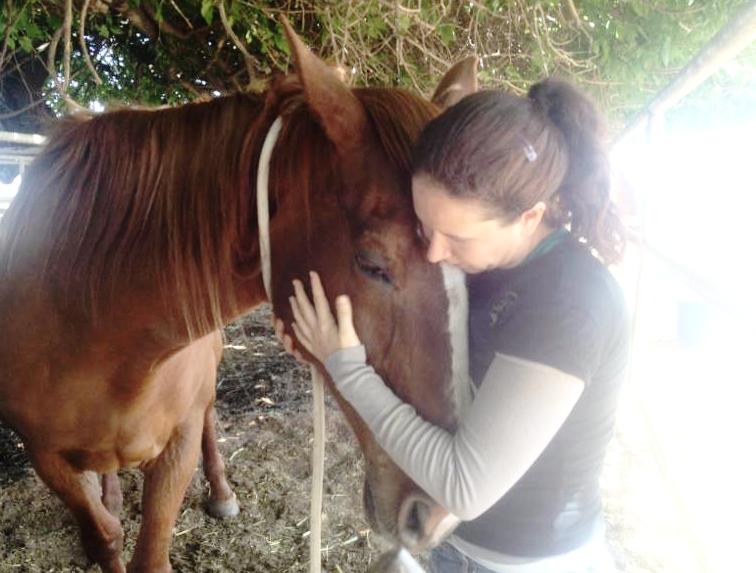 horse shelter