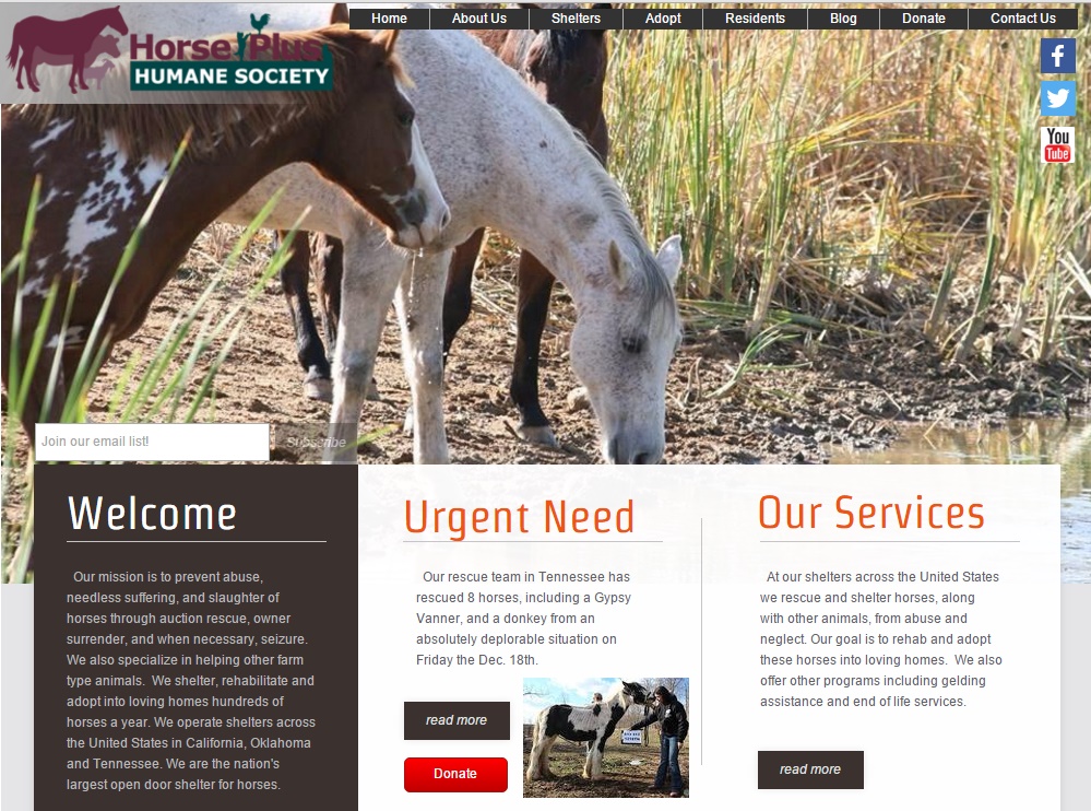 horse website