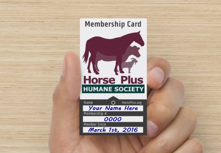 horse shelter