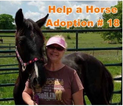 horse shelter