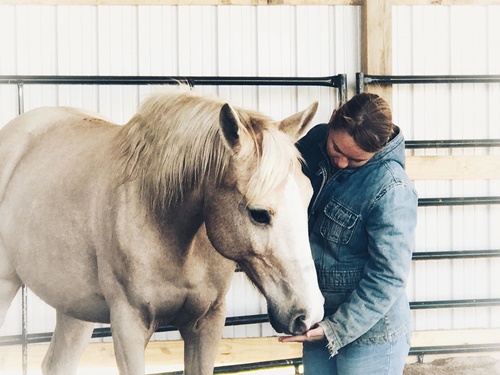 horse rescue