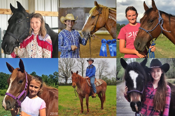 horse adoption
