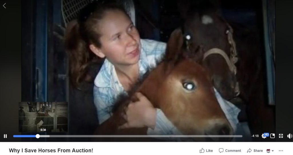 Horse rescue