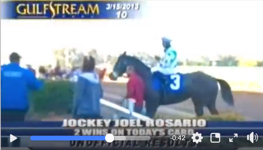 horse story