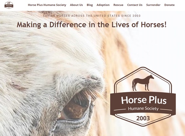 horse shelter