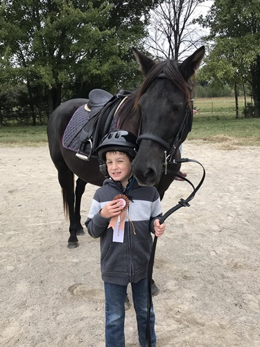 horse story