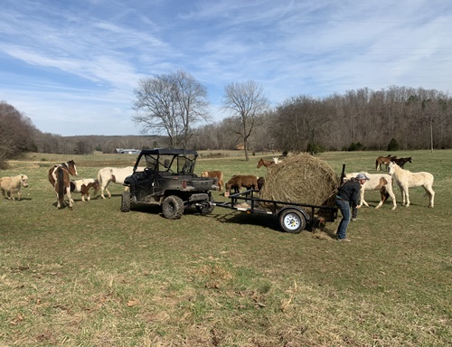 horse shelter