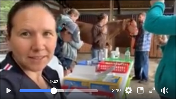 horse shelter
