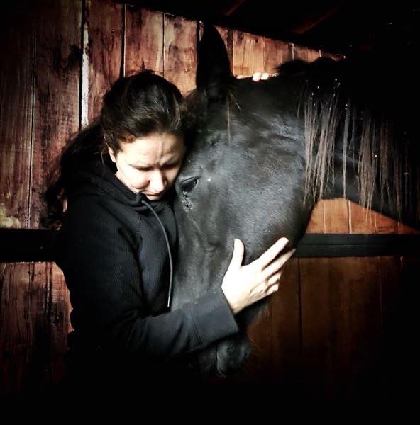 horse auction