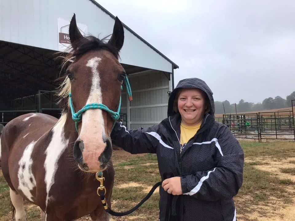 horse update