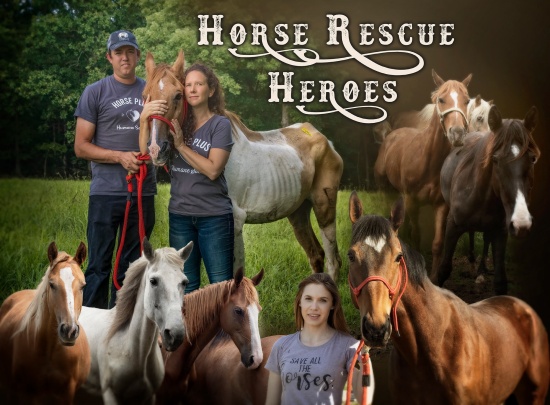 horse story