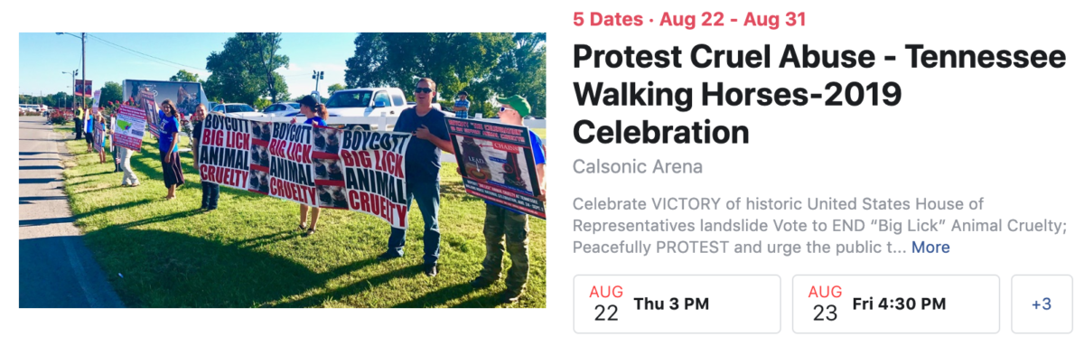 horse protest