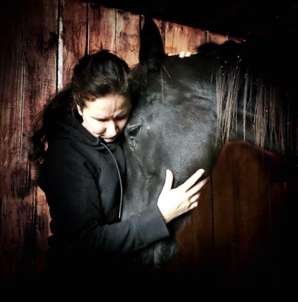 horse slaughter auction