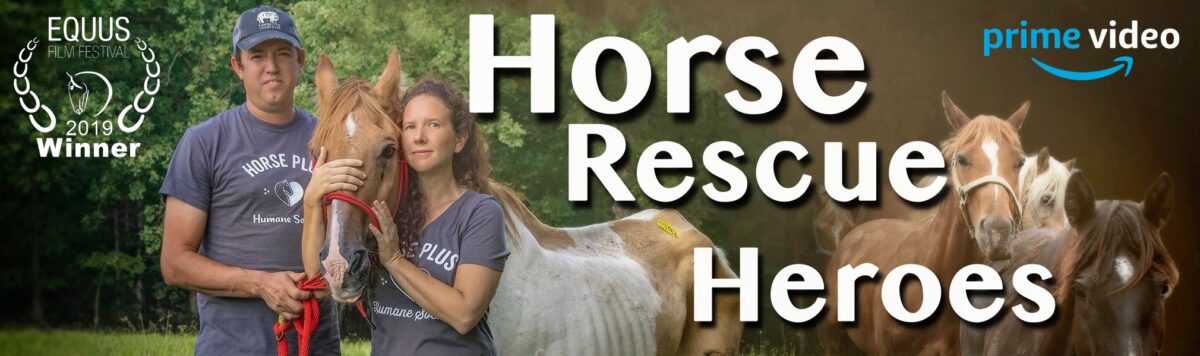 horse tv