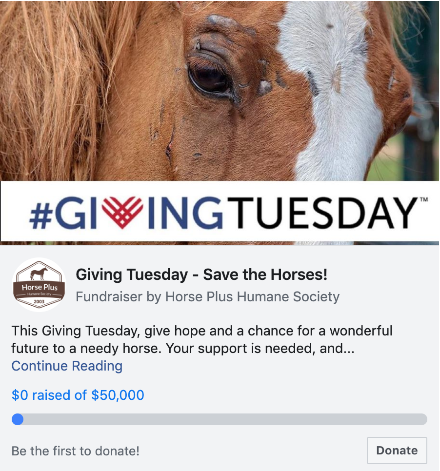 horse donation