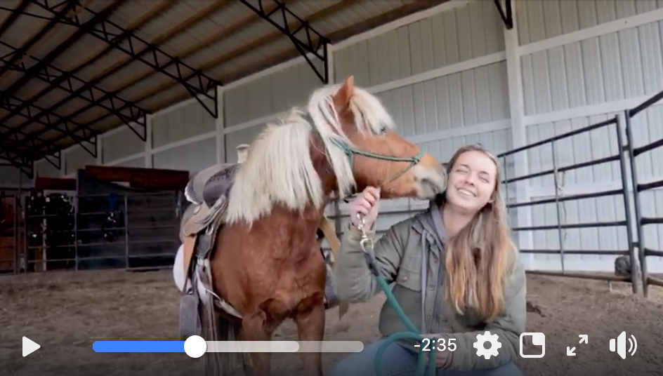 horse episode