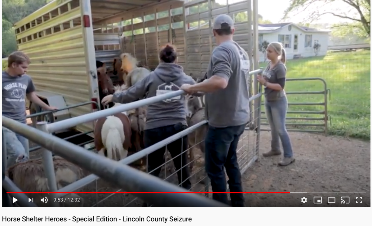 Animal Hoarding Case