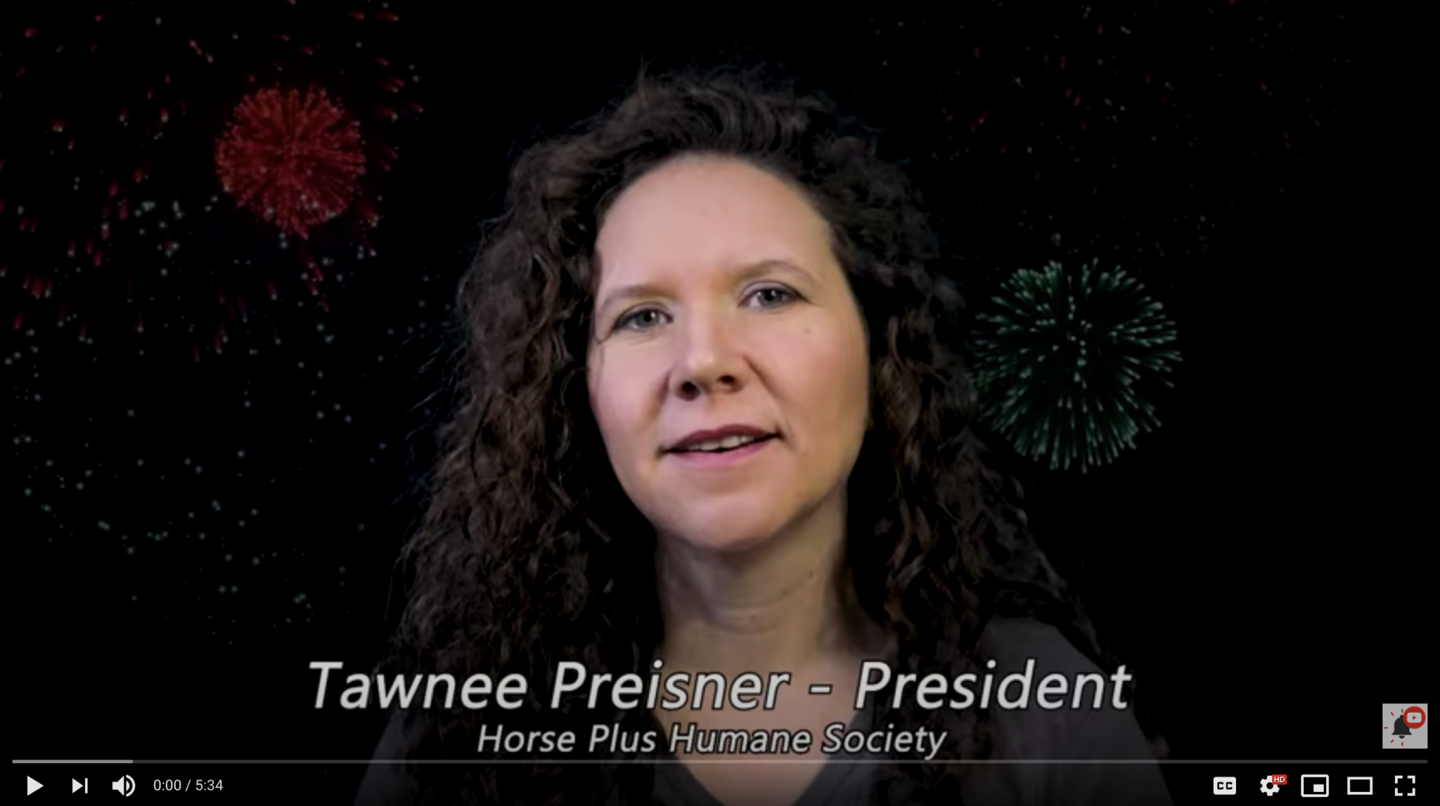 Horse Rescue Heroes TV