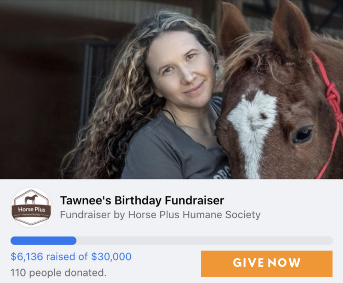 horse fundraising