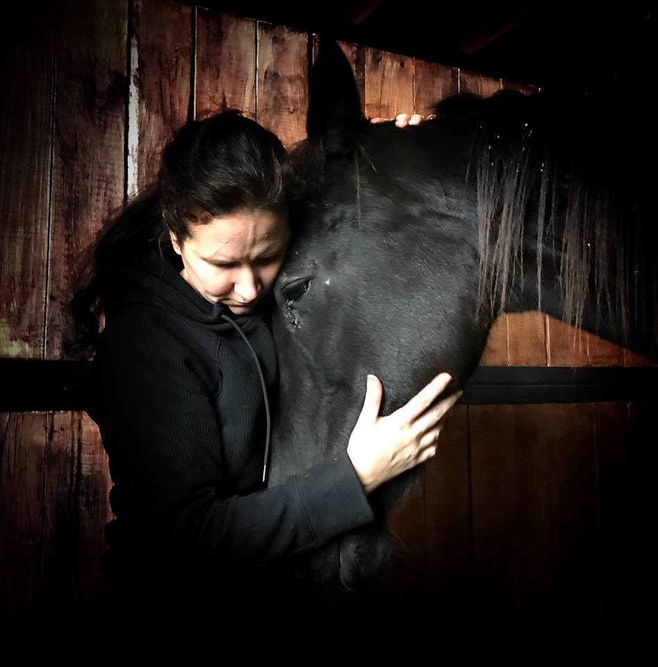 horse euthanasia