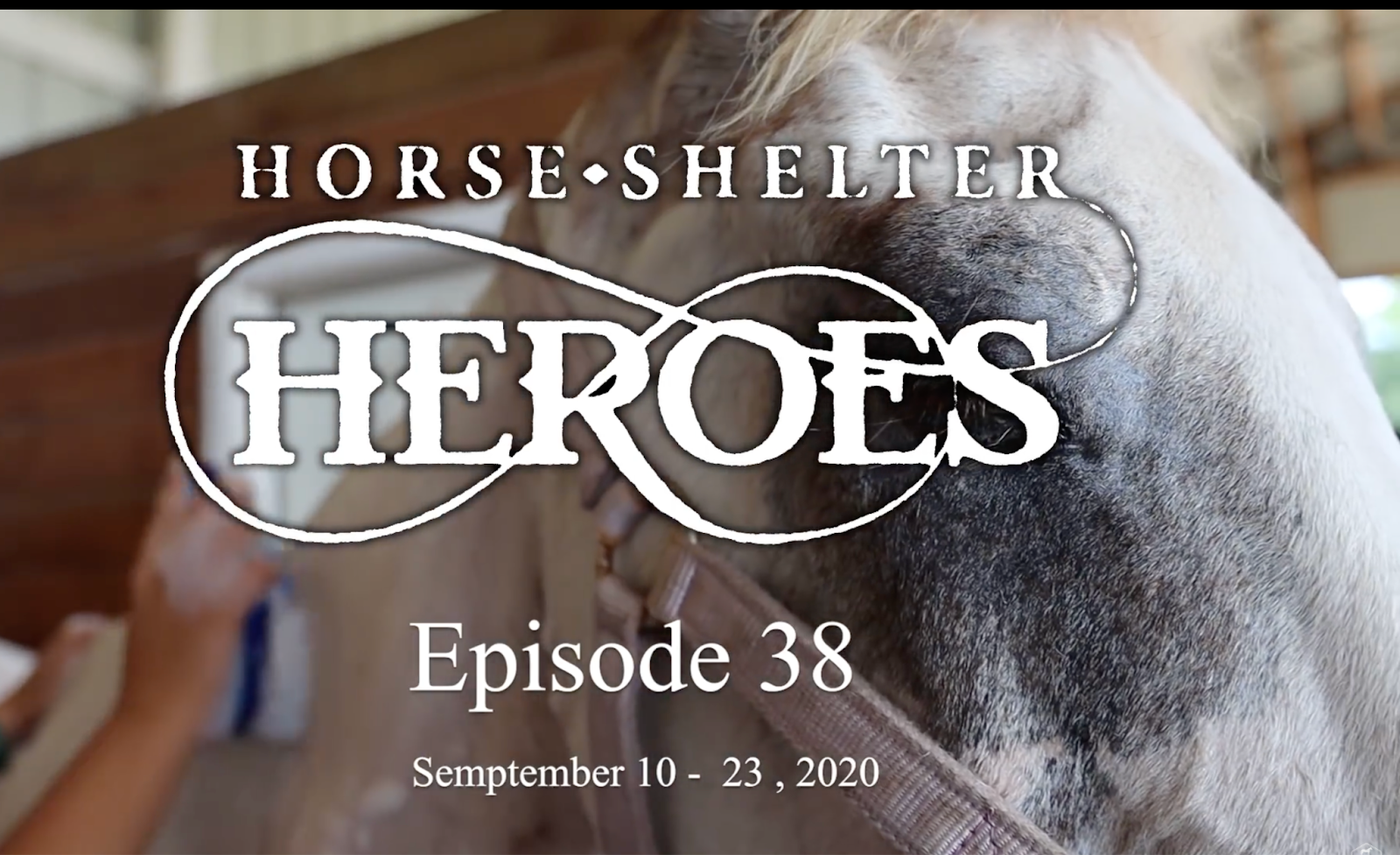 horse shelter