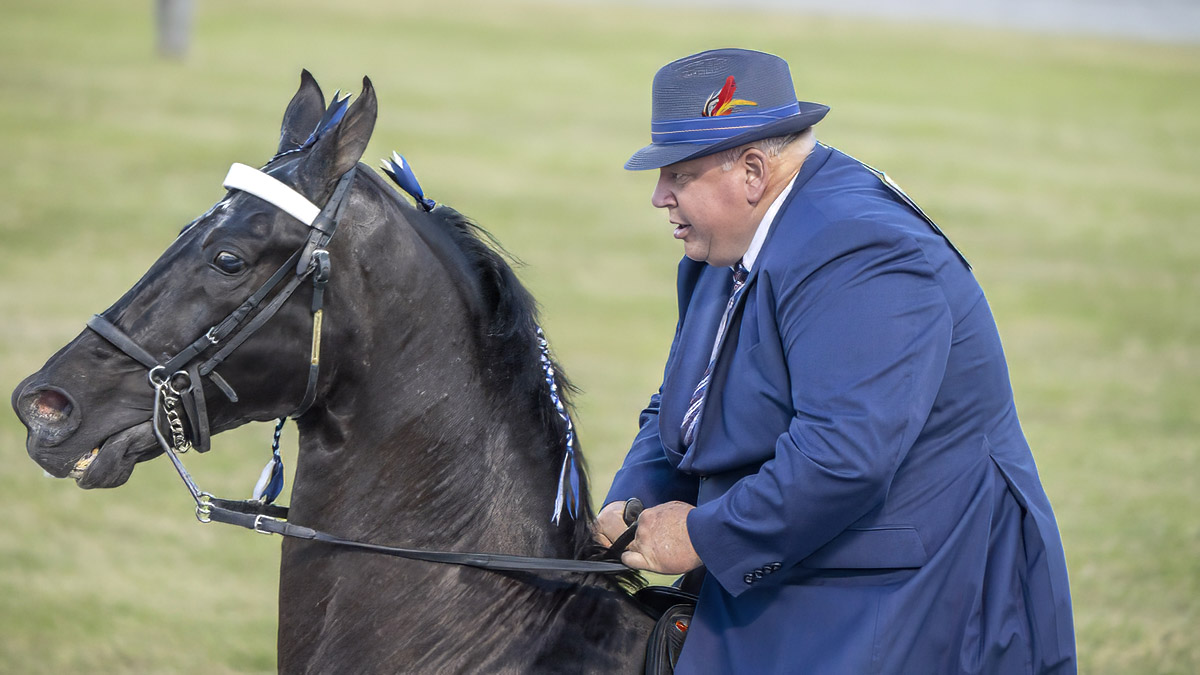 Big Rider on Little Horse
