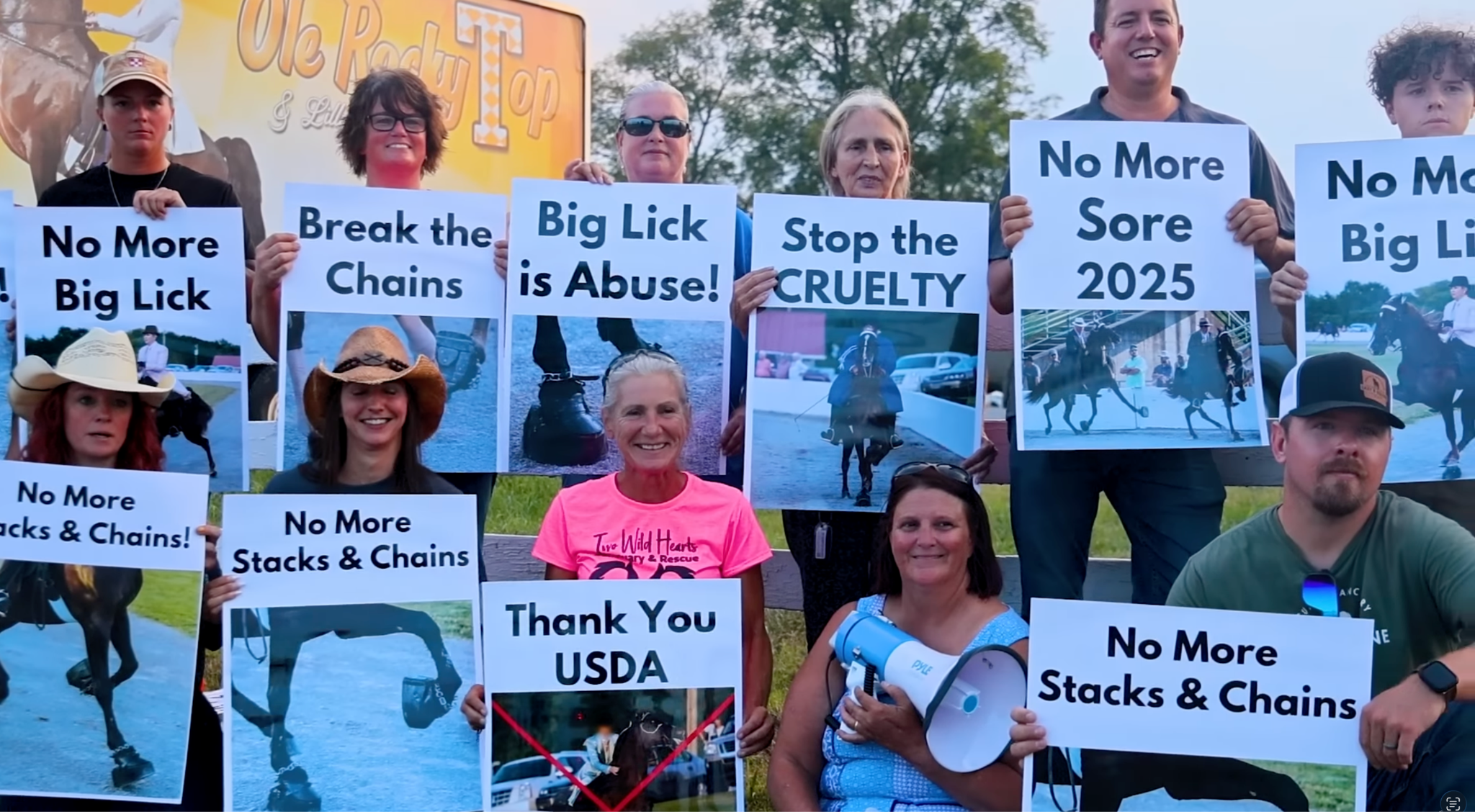 horse advocacy