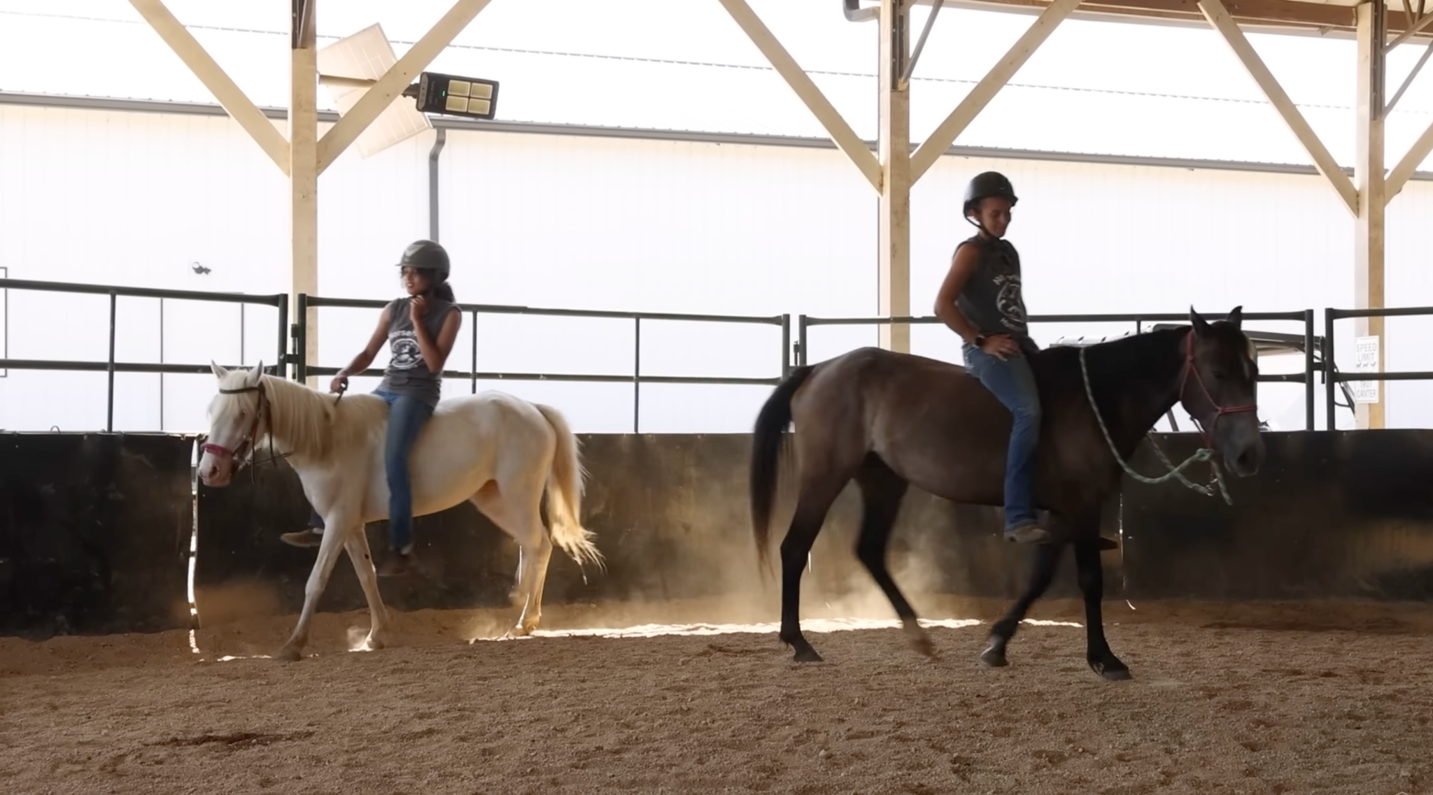 horse shelter