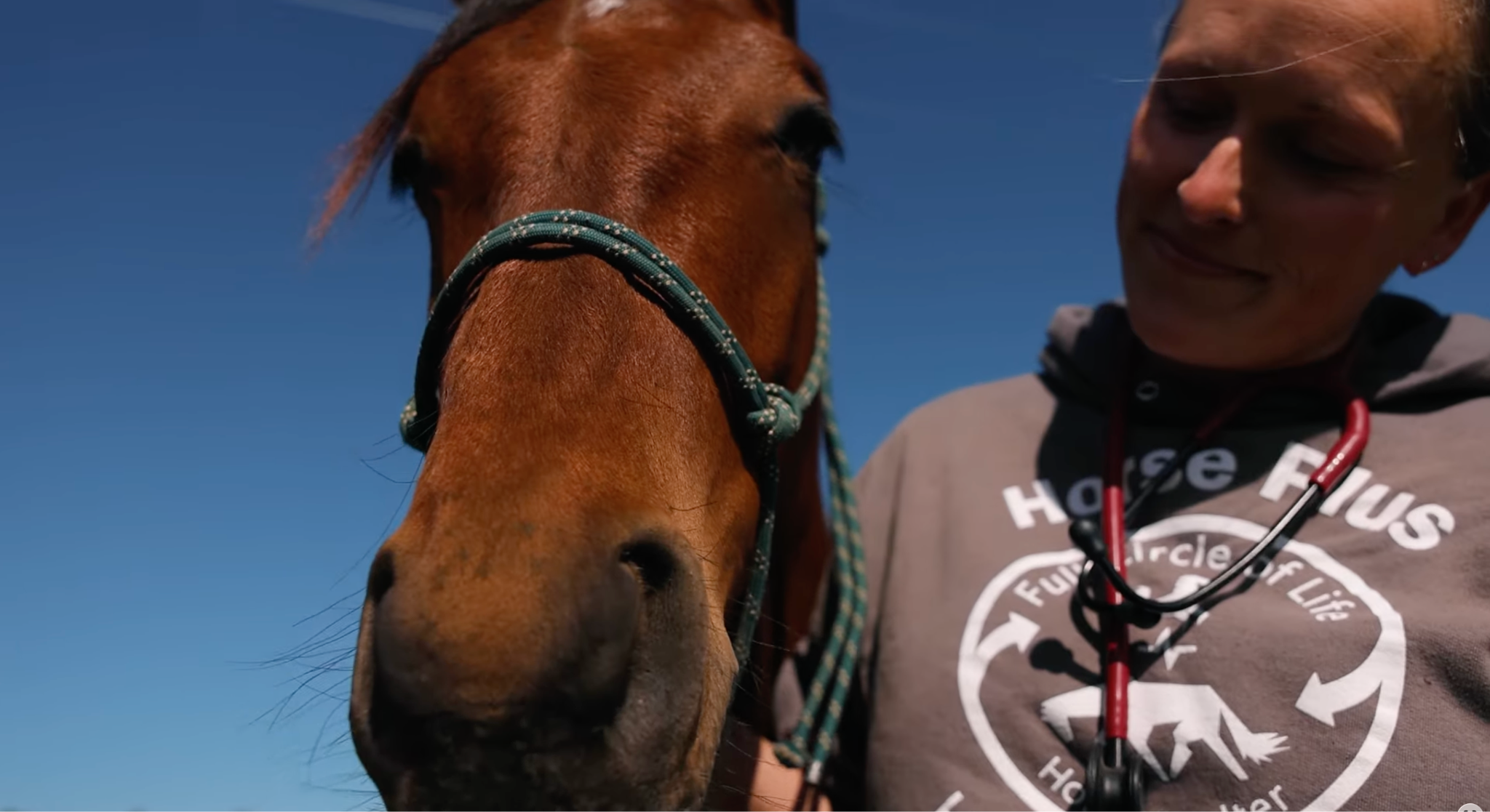horse shelter
